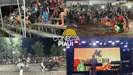 Júnior Macêdo realiza Pega de Boi Troféu Raimundo Preto em Barras (Foto: Conecta Piauí)