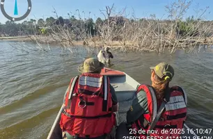 Lagoa do Portinho tem captação irregular e pesca predatória identificadas (Foto: Reprodução)