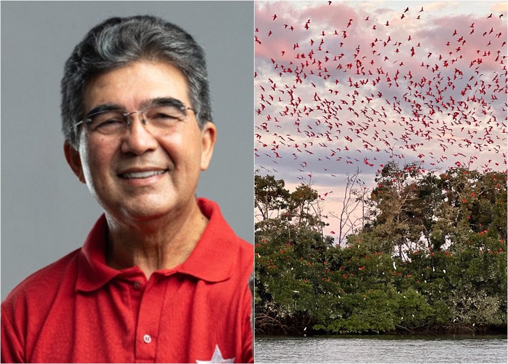 Limma propõe leis para setor que  movimenta mais de US$ 90 bilhões por ano