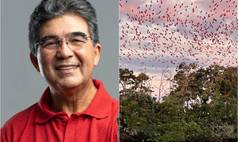 Limma propõe leis para setor que  movimenta mais de US$ 90 bilhões por ano