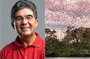 Limma propõe leis para setor que  movimenta mais de US$ 90 bilhões por ano (Foto: Reprodução/ ASCOM)