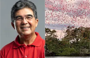 Limma propõe leis para setor que  movimenta mais de US$ 90 bilhões por ano (Foto: Reprodução/ ASCOM)