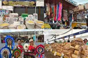Mercado Ver-o-Peso encanta turistas e valoriza tradição paraense com sabores (Foto: Conecta Piauí/Maria Clara Cesar)