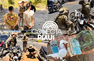 Operações simultâneas fecham pontos de facção e apreendem drogas em Pedro II (Foto: Reprodução)