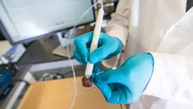 Pesquisadora brasileira cria caneta que detecta câncer em 10 segundos (Foto: Vivian Abagiu/Universidade do Texas)