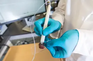 Pesquisadora brasileira cria caneta que detecta câncer em 10 segundos (Foto: Vivian Abagiu/Universidade do Texas)