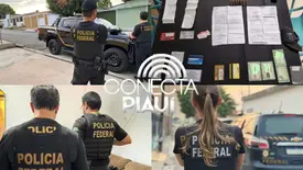 PF já deflagrou sete operações no Piauí contra fraudes milionárias no INSS em 2025 (Foto: Divulgação/Polícia Federal)