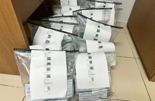 Placas suspeitas de fraude em postos do Piauí serão periciadas (Foto: Reprodução)