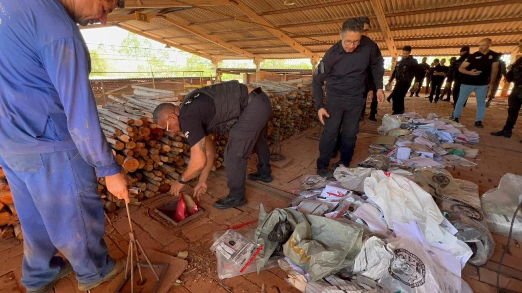 Polícia Civil incinera mais de 300kg de drogas apreendidas em diversas operações