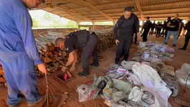 Polícia Civil incinera mais de 300kg de drogas apreendidas em diversas operações (Foto: Reprodução)
