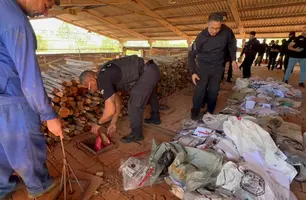 Polícia Civil incinera mais de 300kg de drogas apreendidas em diversas operações (Foto: Reprodução)