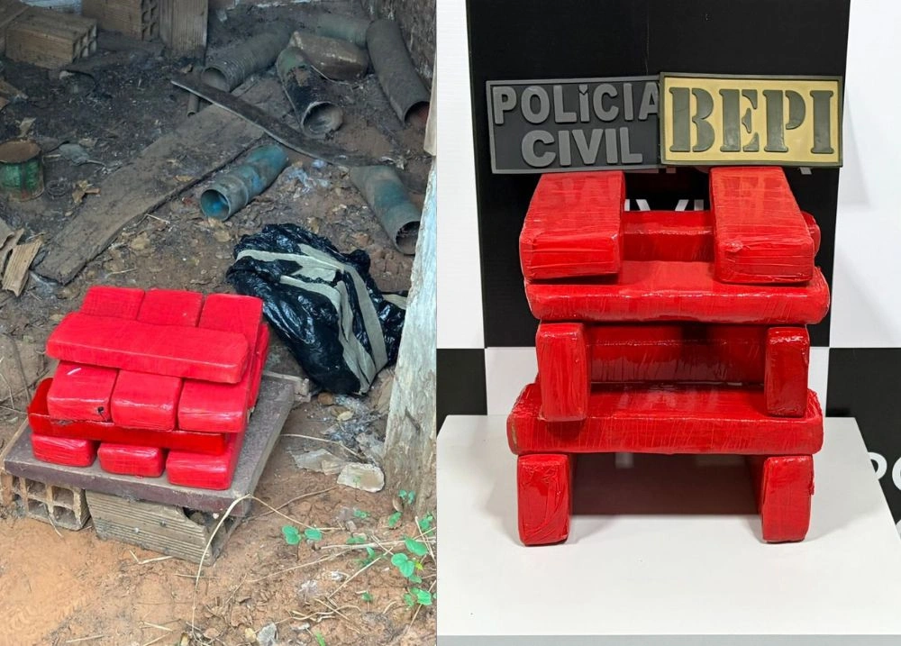 Polícia encontra 10 tabletes de maconha durante ação do BEPI em Picos