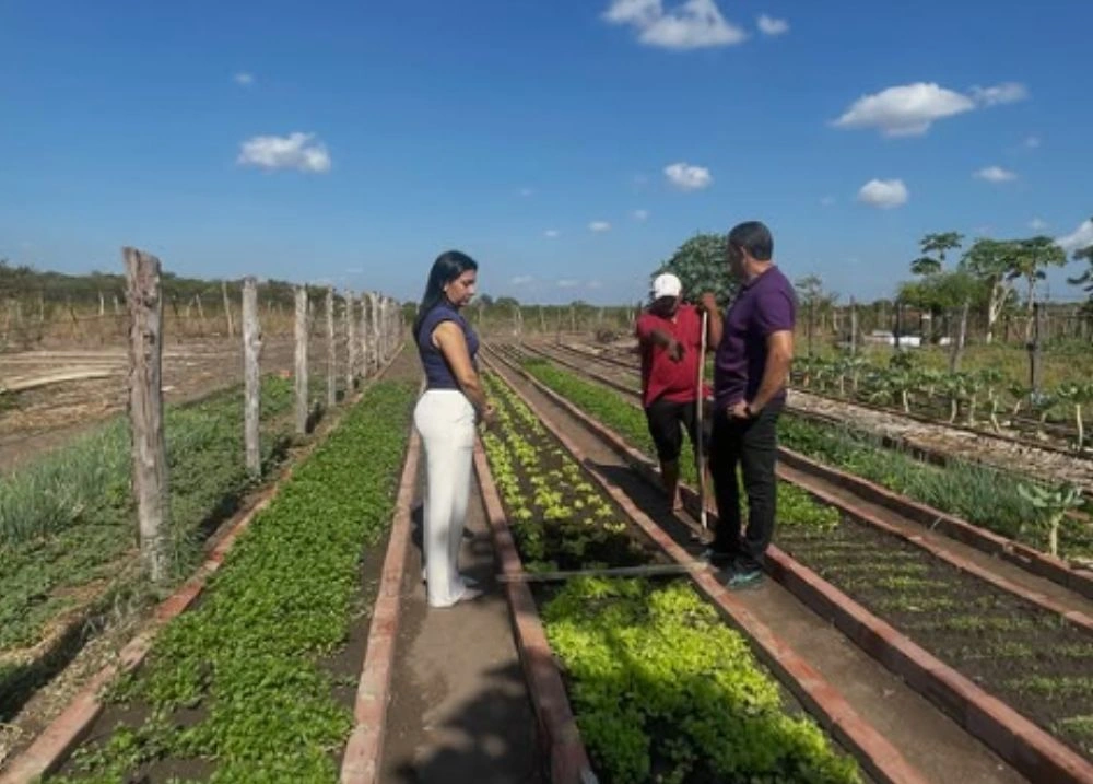 Prefeitura de Bom Jesus entrega 'tratorzinho' em horta comunitária