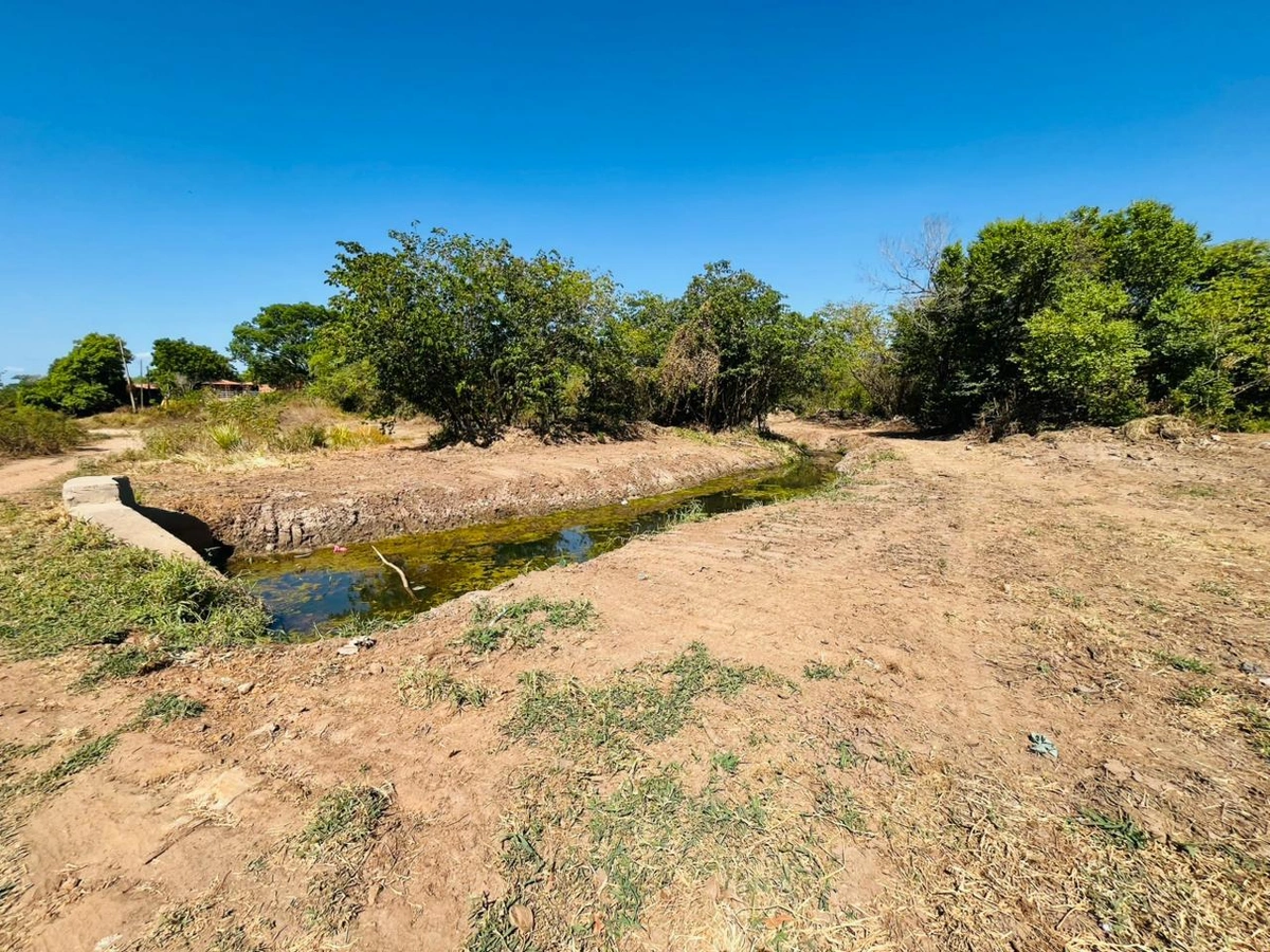 Prefeitura de Esperantina intensifica limpeza nos bairros da cidade