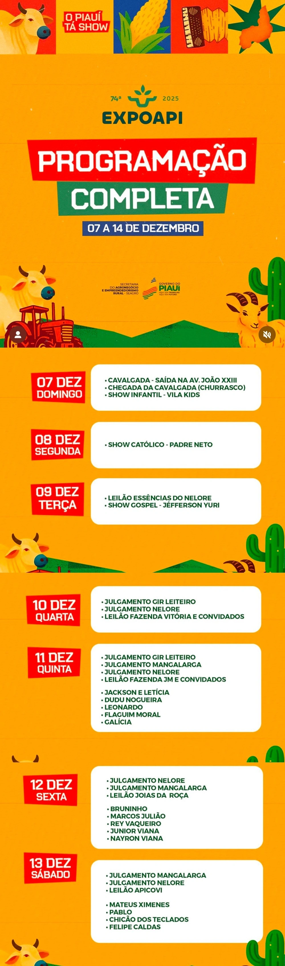 Programação Expoapi