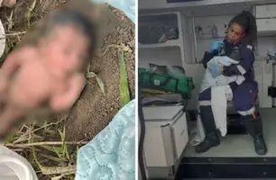 Recém-nascida é encontrada abandonada em matagal no Espírito Santo (Foto: Reprodução)