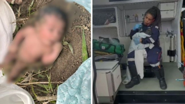 Recém-nascida é encontrada abandonada em matagal no Espírito Santo