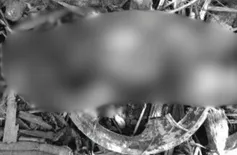 Recém-nascido é encontrado morto após ter cabeça devorada por animais em Porto