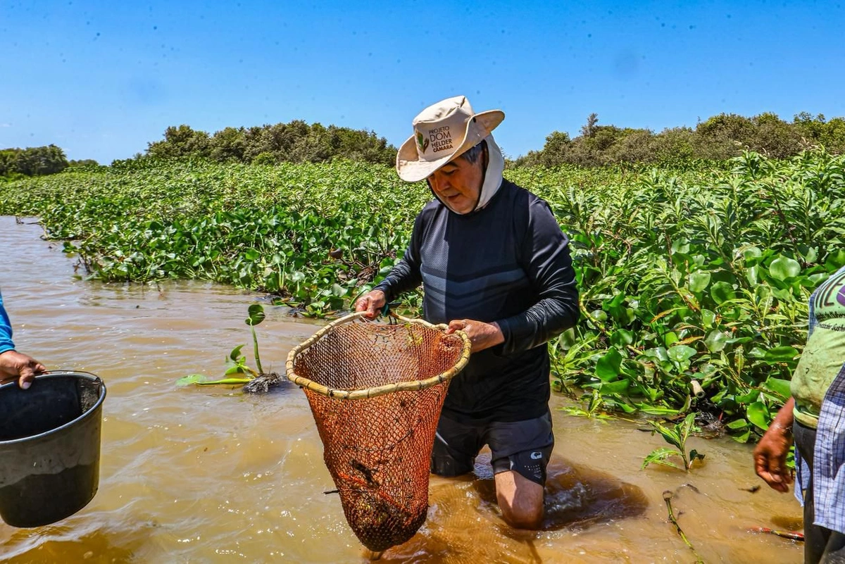Rota das Marisqueiras