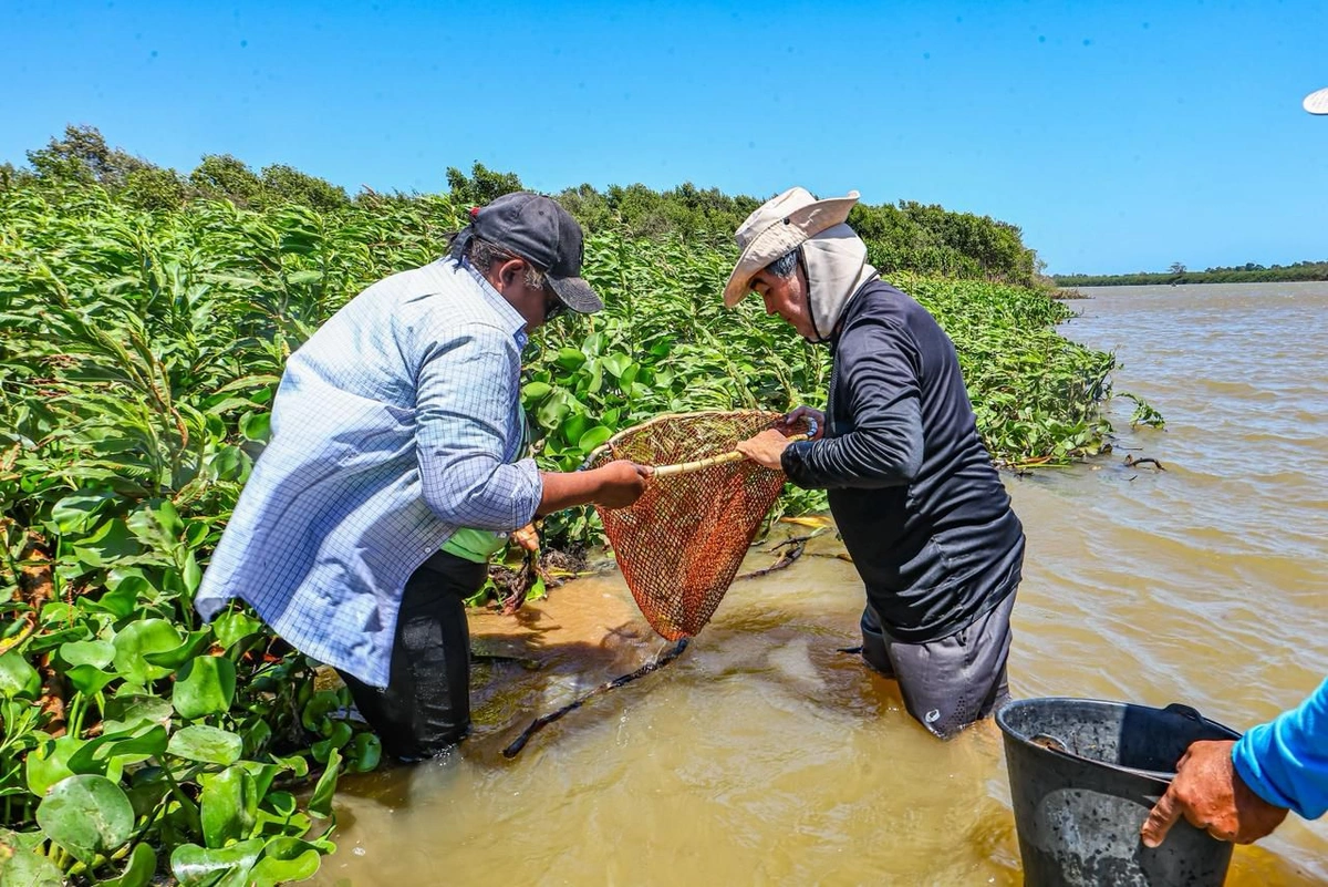 Rota das Marisqueiras