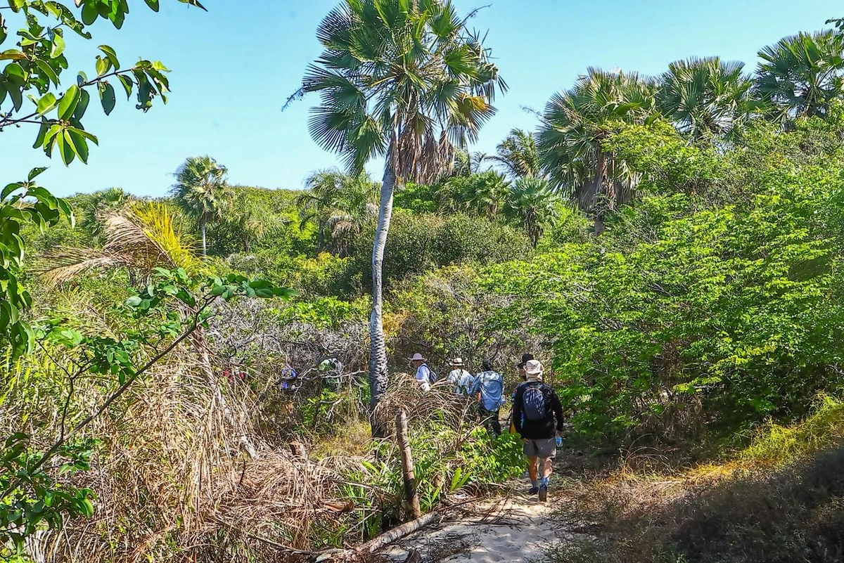 Rota das Marisqueiras
