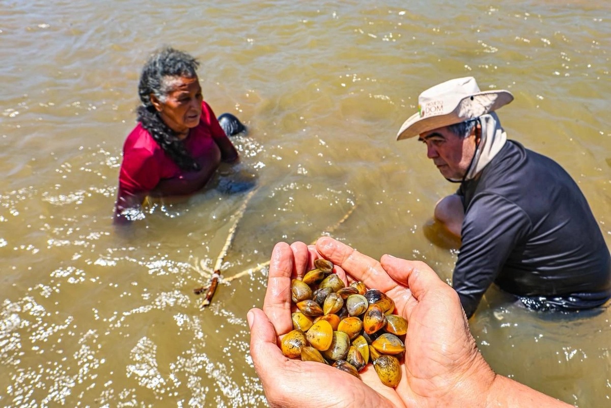 Rota das Marisqueiras
