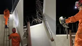 Sagui fica preso em cerca elétrica e é resgatado por bombeiros em Oeiras (Foto: Reprodução)