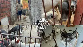Sem ração e endividado, abrigo Patinhas do Coração, em Teresina, pede socorro (Foto: Conecta Piauí)