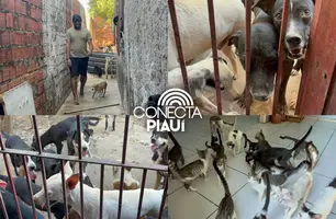 Sem ração e endividado, abrigo Patinhas do Coração, em Teresina, pede socorro (Foto: Conecta Piauí)