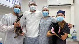 Semarh ultrapassa marca de 500 castrações realizadas no Castramóvel (Foto: Reprodução)