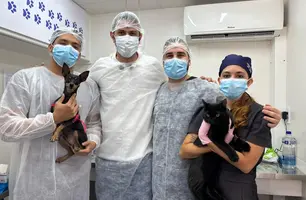 Semarh ultrapassa marca de 500 castrações realizadas no Castramóvel (Foto: Reprodução)