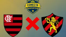 Sport x Flamengo (Foto: Conecta Piauí)