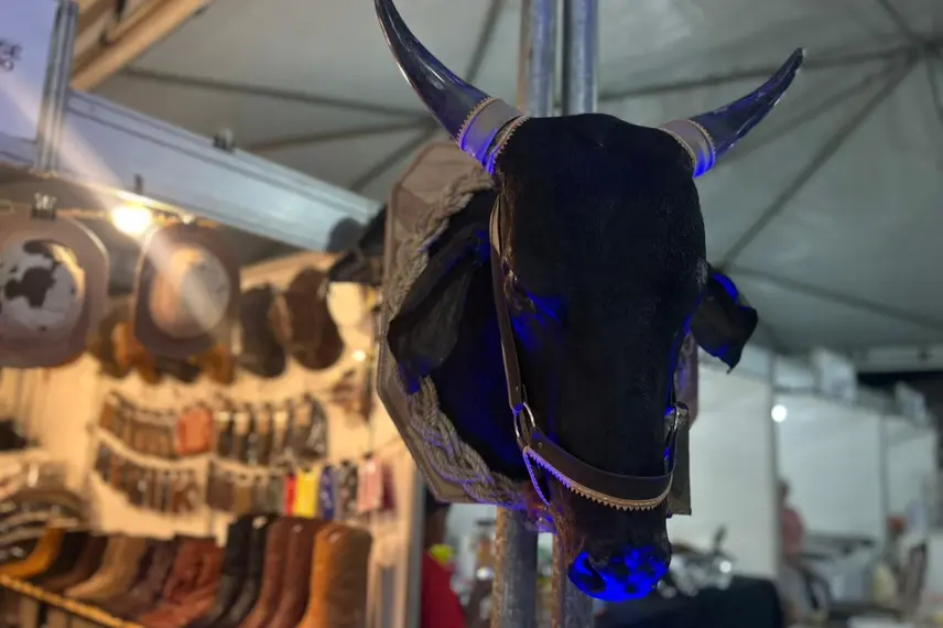 Taty Girl movimenta a 33ª Festa do Leite em São José do Divino