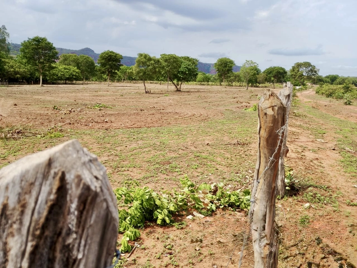 Terra Pronta avança e beneficia cerca de 400 produtores em Ribeiro Gonçalves