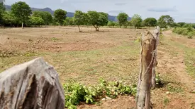 Terra Pronta avança e beneficia cerca de 400 produtores em Ribeiro Gonçalves (Foto: Reprodução)