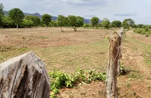 Terra Pronta avança e beneficia cerca de 400 produtores em Ribeiro Gonçalves (Foto: Reprodução)