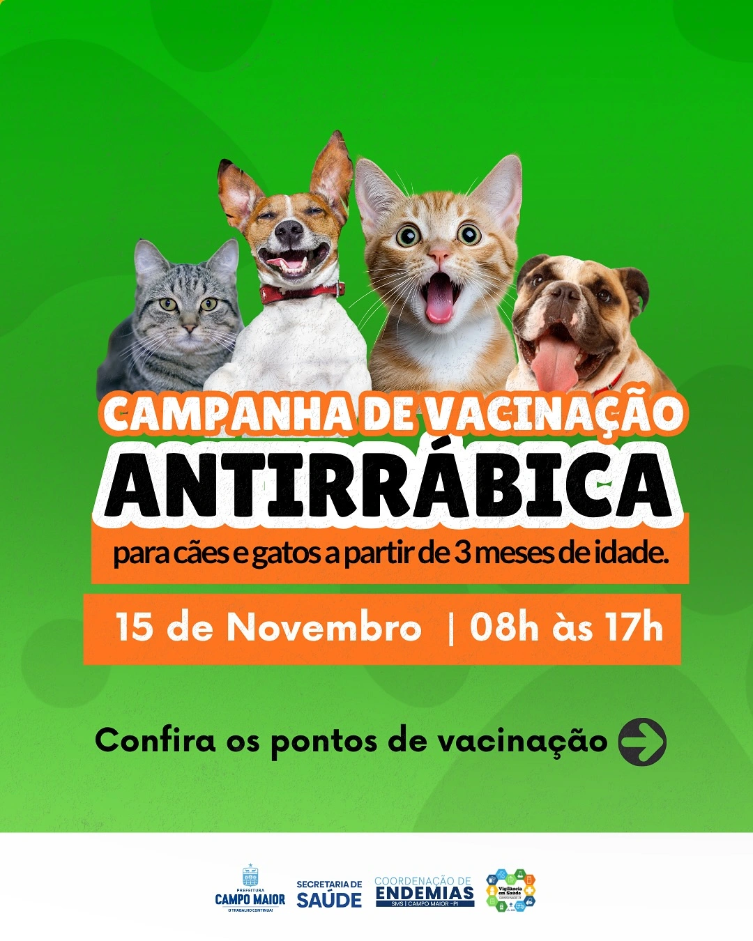 Vacinação antirrábica será realizada em Campo Maior com 24 pontos de atendimento