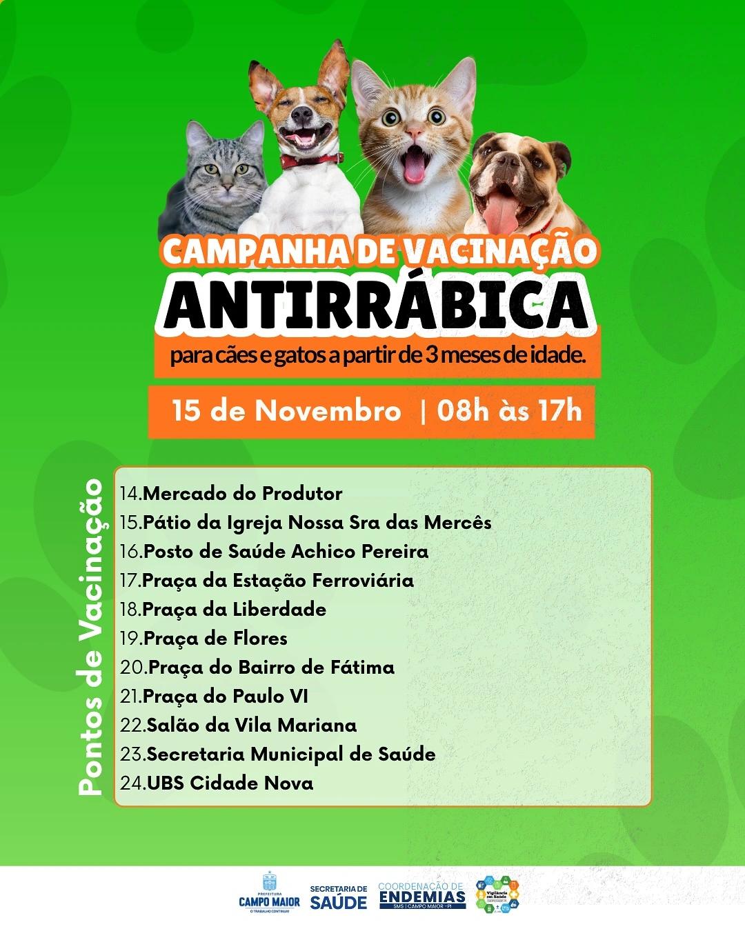 Vacinação antirrábica será realizada em Campo Maior com 24 pontos de atendimento