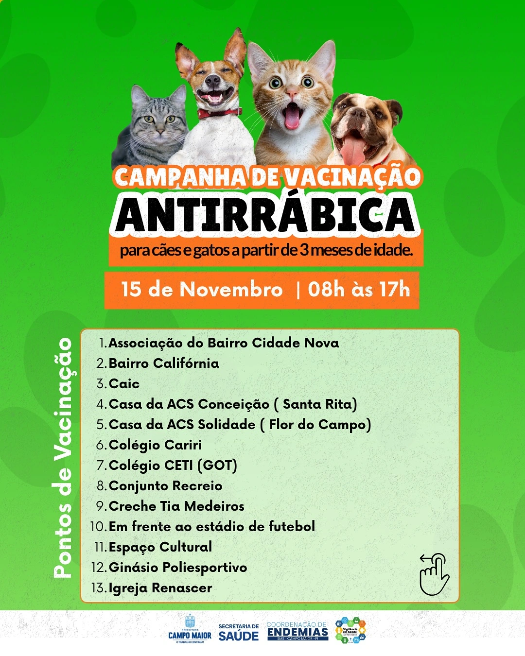 Vacinação antirrábica será realizada em Campo Maior com 24 pontos de atendimento