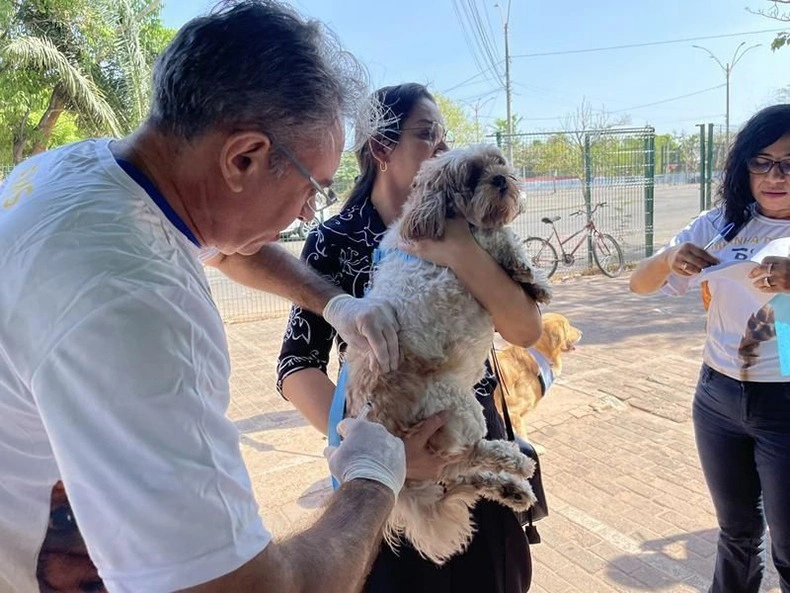 Vacinação contra a raiva