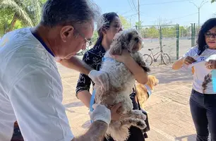 Vacinação contra a raiva (Foto: Reprodução/FMS)