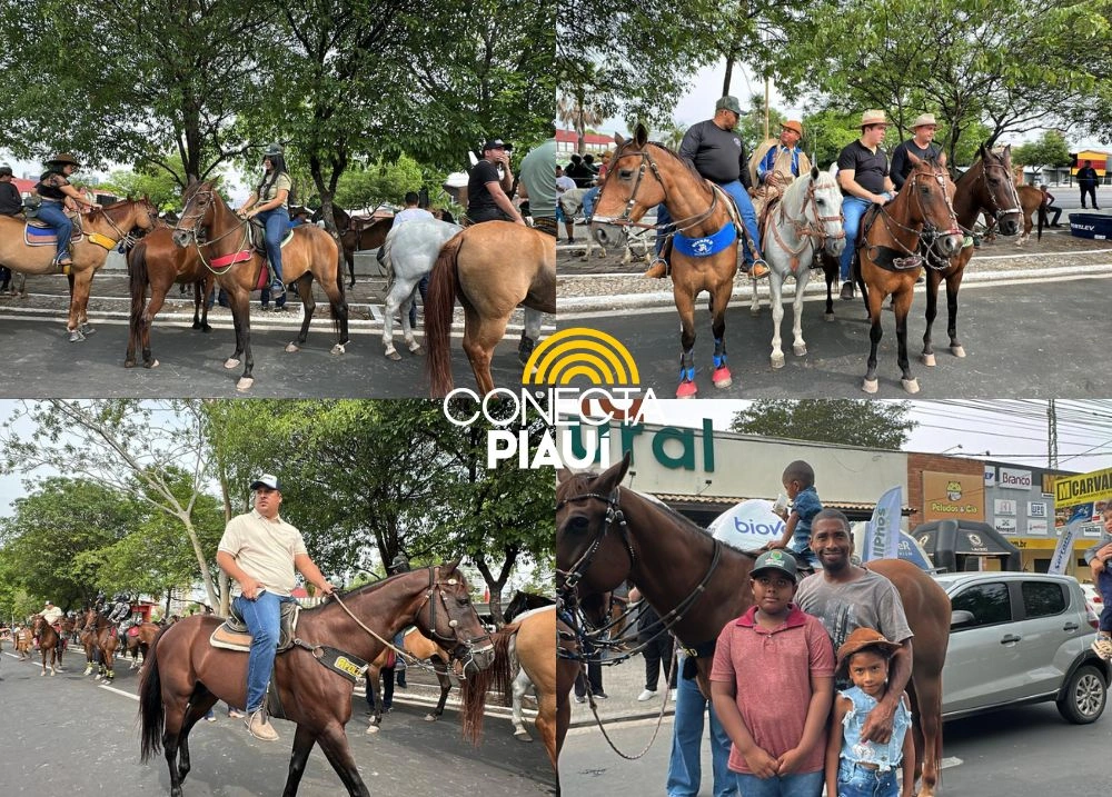 Abertura da Expoapi reúne cavaleiros e tradição na 74ª edição em Teresina