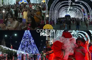 Altos acende luzes de Natal e celebra espírito de união (Foto: Reprodução)