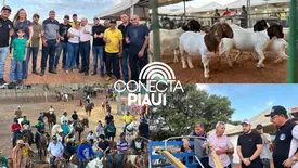 Aroazes abre V EXPOARO 2025 com tradição e valorização do campo (Foto: Portal Conecta Píaui)