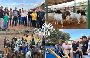 Aroazes abre V EXPOARO 2025 com tradição e valorização do campo (Foto: Portal Conecta Píaui)