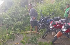 Árvore cai na avenida Raul Lopes e deixa via interditada em frente ao Riverside