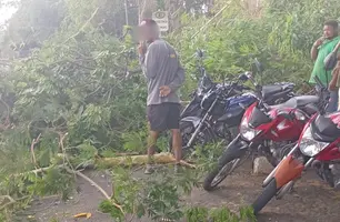 Árvore cai na avenida Raul Lopes e deixa via interditada em frente ao Riverside (Foto: Reprodução)