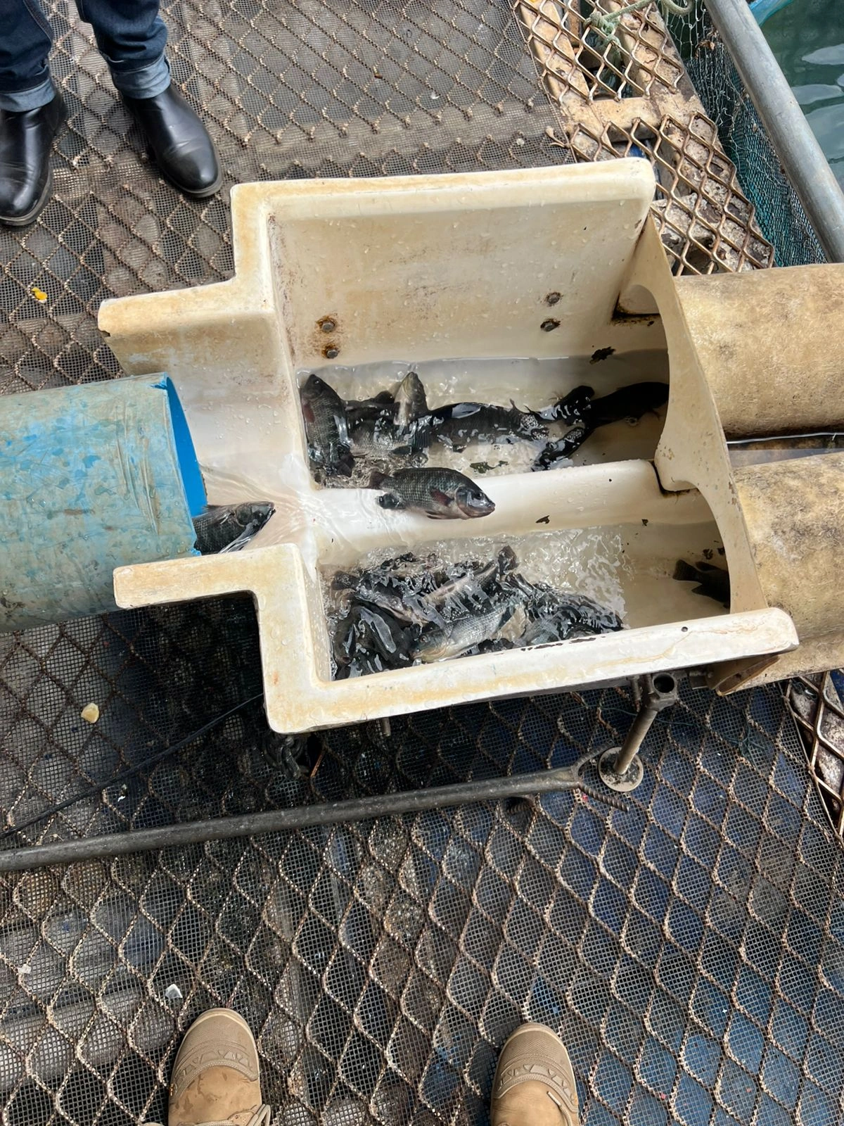 Barragem de Boa Esperança