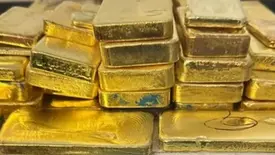 Barras de Ouro (Foto: Reprodução)