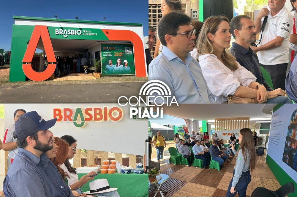 BrasBio apresenta projeto de etanol que promete revolucionar o Piauí